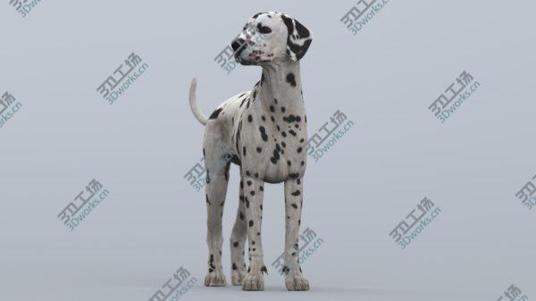 images/goods_img/20210312/Dalmatian Rigged 3D model/4.jpg